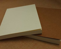 4月纸价将再次调整 龙头纸厂发布停机限产通知