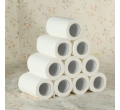 天津卫生纸|北京卫生纸|天津卫生纸纸厂