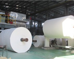 探秘卫生纸厂家：品质背后的匠心与实力