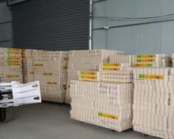 卫生纸厂家揭秘：卓越品质背后的生产工艺与创新力量