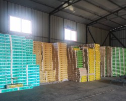 卫生纸品牌忠诚度培养：从用户体验到情感连接的深度构建